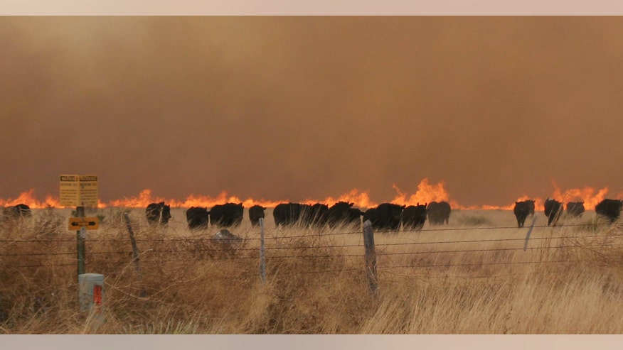 texas wildfire